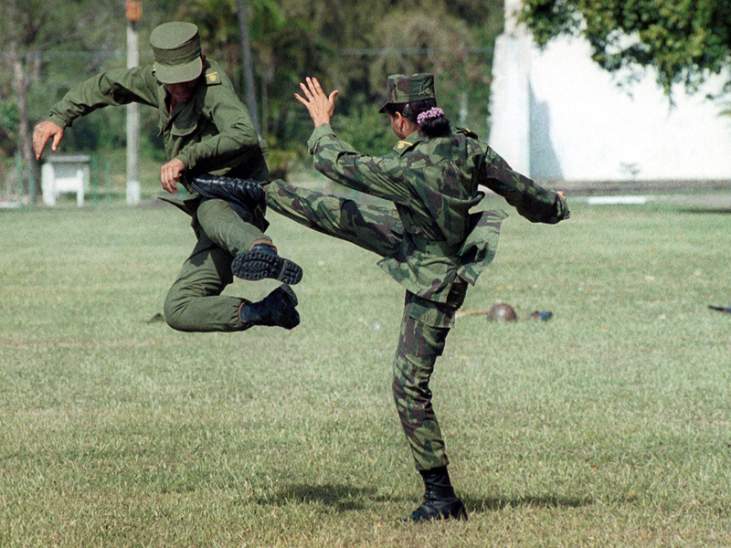 Military Fighting Techniques you can employ in the Street